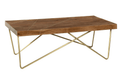 Neemra Wood & Iron Coffee Table